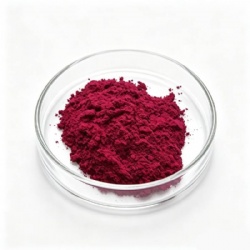 Pigment Red 169 / Rhodamine Red FB