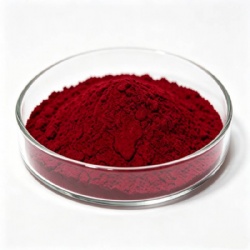 Pigment Red 23 / Permanent Red F2B