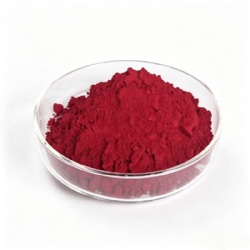 Pigment Red 31 / Fast Rubine BB