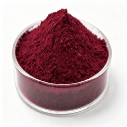 Pigment Violet 19 / Quindo Violet 4R