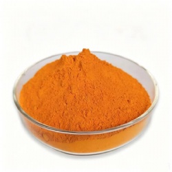 Pigment Yellow 110 / Isoindo Yellow 3P