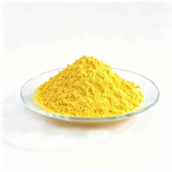Pigment Yellow 55 / Permanent Yellow 2RN