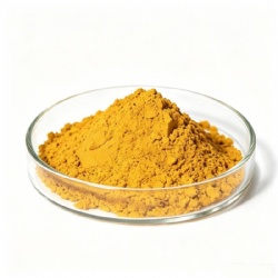 Solvent Yellow 79 / Solvent Yellow GG